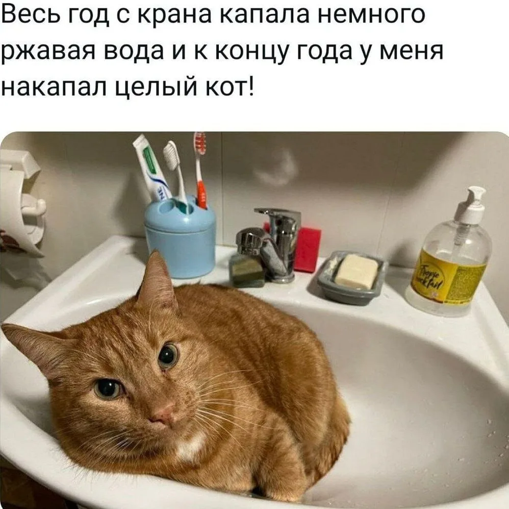 🚿 В Екатеринбурге временно изменили нормативы качества горячей воды.