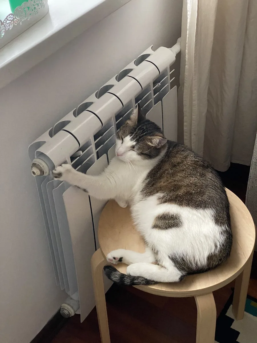 🔥 Появился график подключения округов Архангельска к отоплению