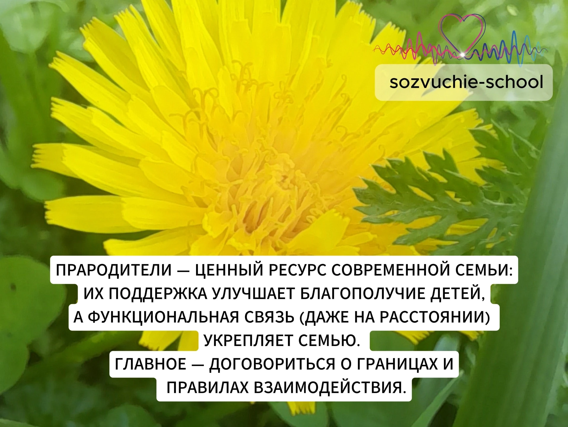БАБУШКИ, ДЕДУШКИ И РАСШИРЕННАЯ СЕМЬЯ или ПОЧЕМУ ПРАРОДИТЕЛИ — ЭТО НЕ ТОЛЬКО ПРО БОРЩ