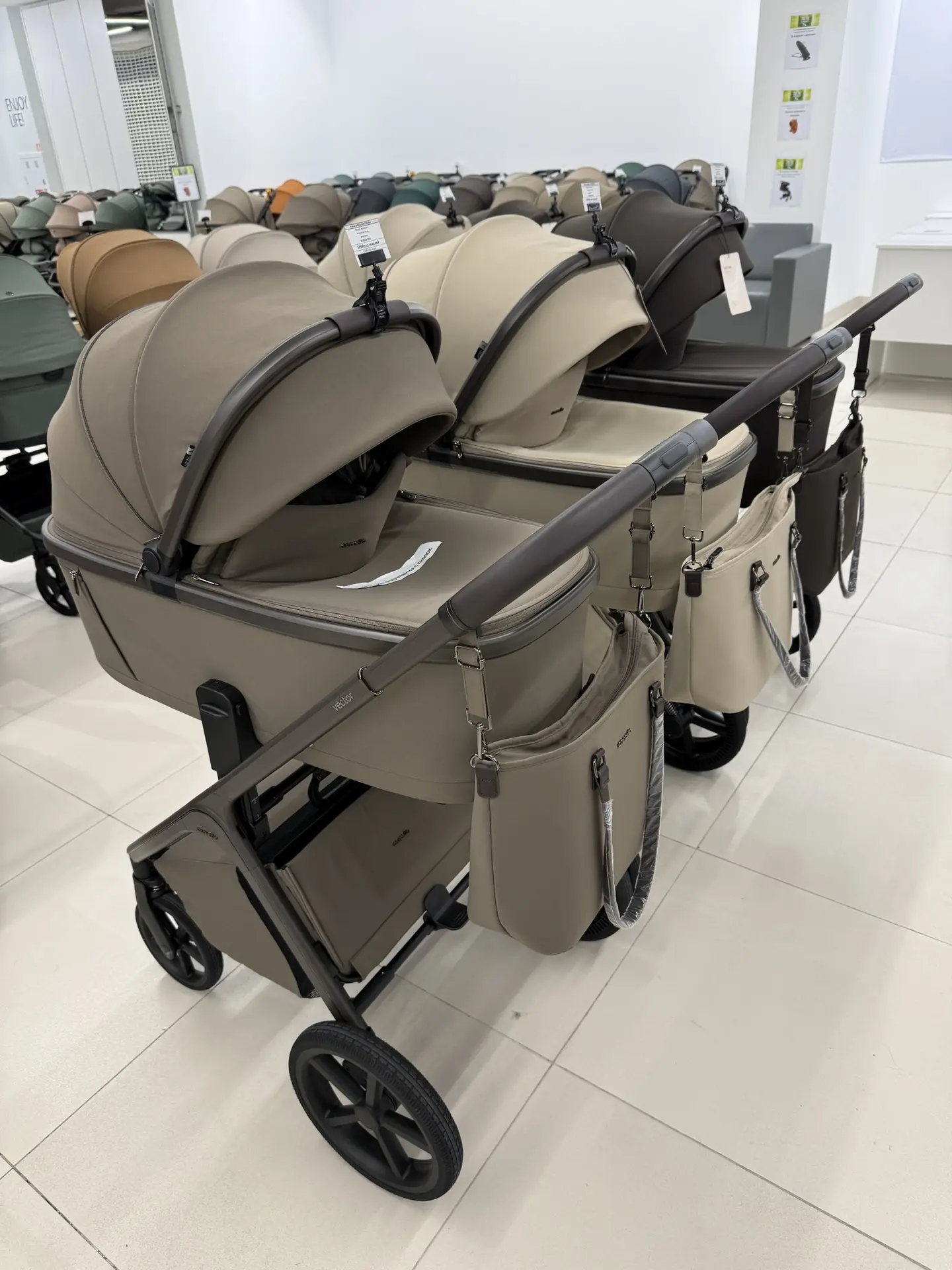 Поступили лимитированные Carrello Vector 6552