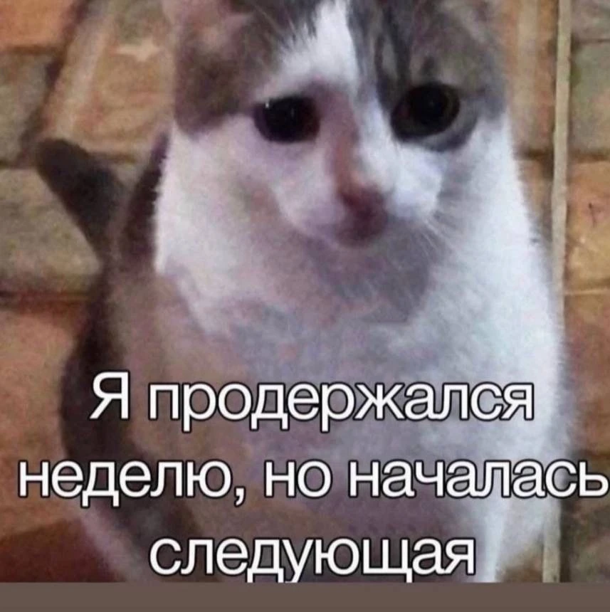 Дорогие друзья, тут должна быть рубрика мемы недели, я не успеваю найти ничего смешного...