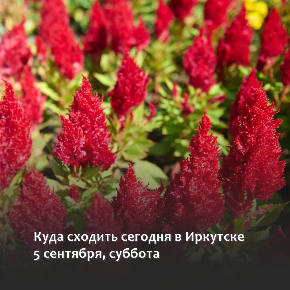 ▫АФИША ИРКУТСКА: ПЛАНЫ НА СЕГОДНЯ
