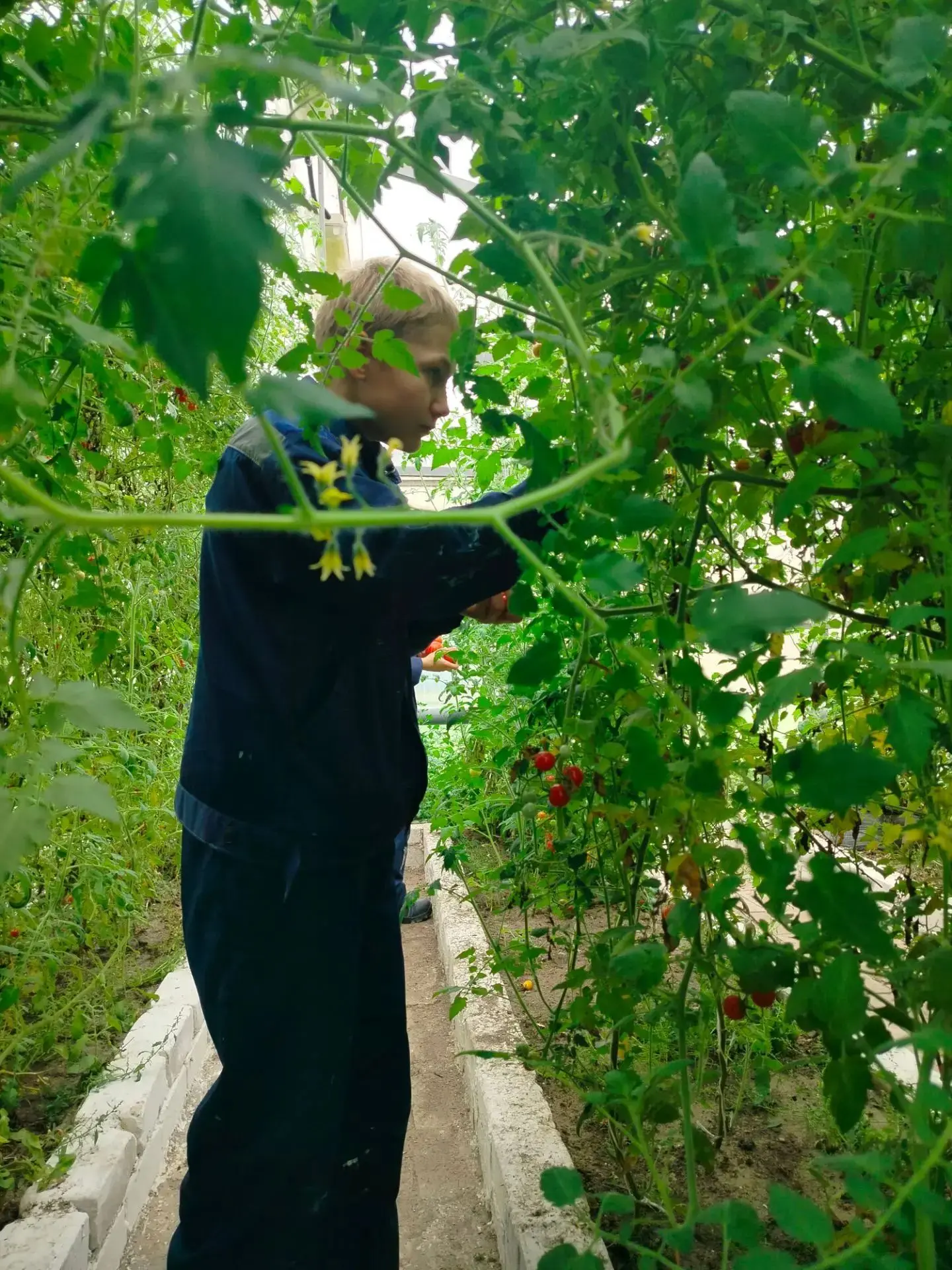 🍅 Свой урожай — лучшая награда! Как воспитанники СУВУ собирали дары осени 🥒