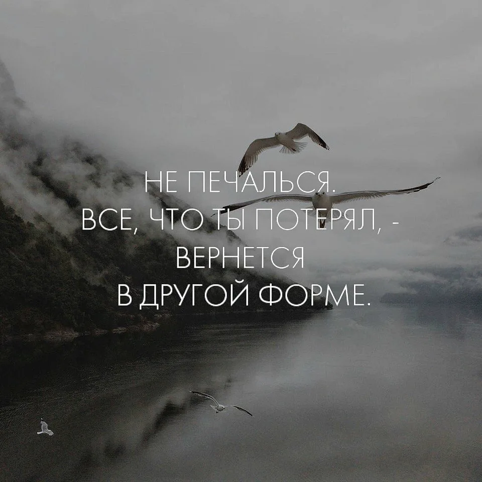 Мудрые Слова ✨
