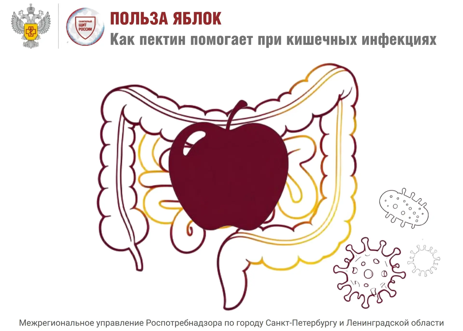 🍏 Яблоко — природный «санитар» вашего организма.