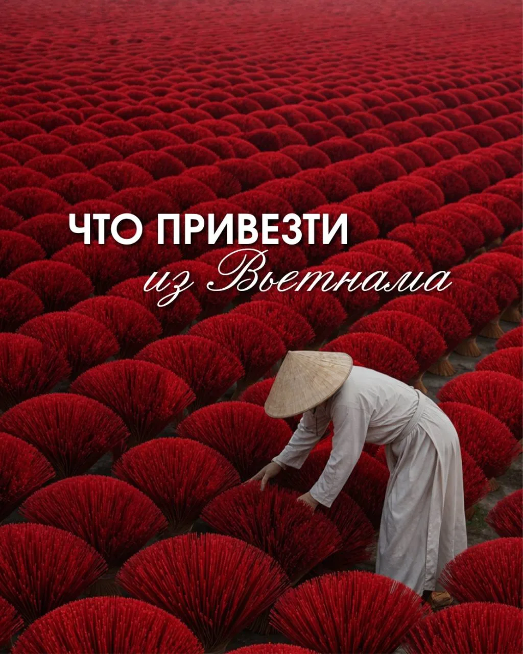 Что привезти из Вьетнама