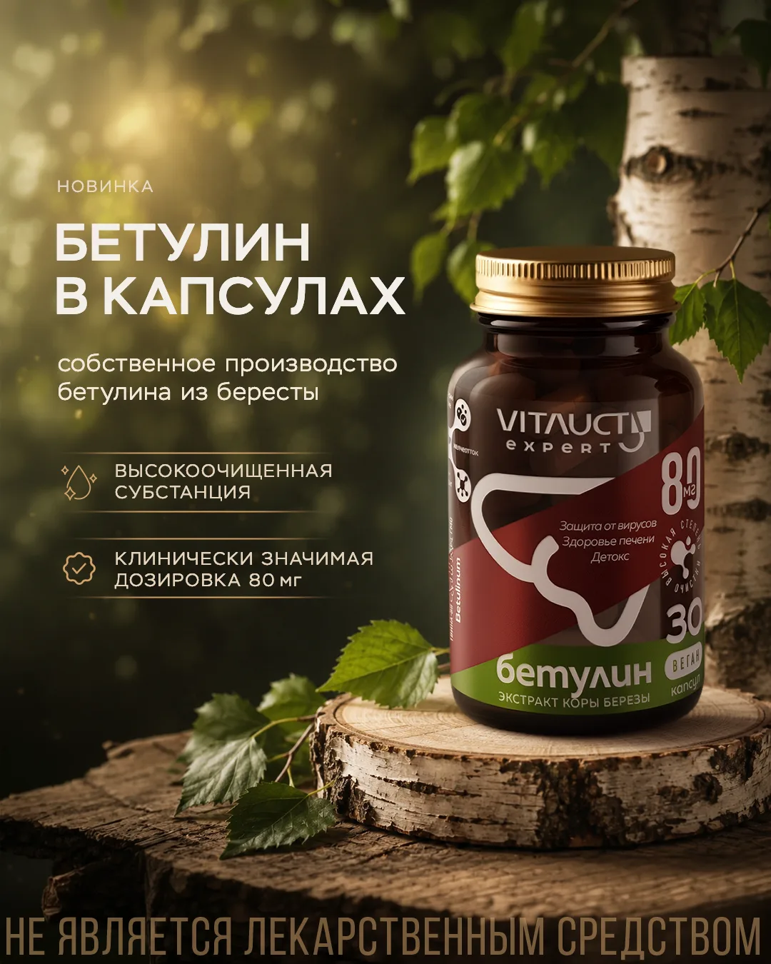 От защиты печени до контроля холестерина