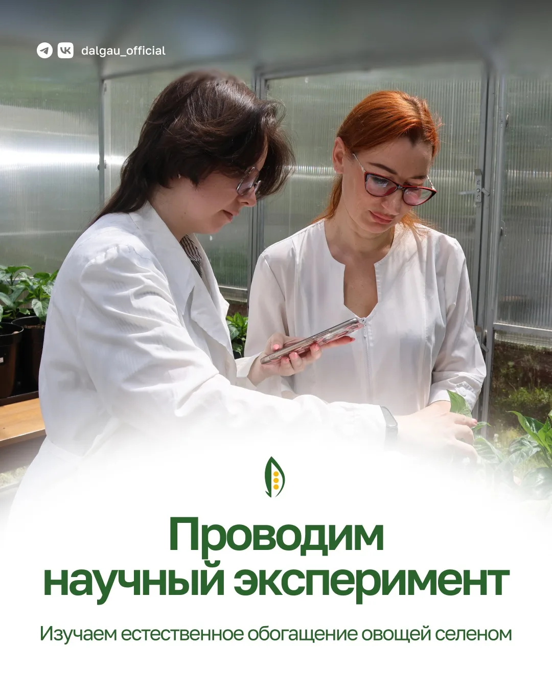 🫑 В Дальневосточном ГАУ изучают возможность обогащения перца селеном

В университете в рамках прогр