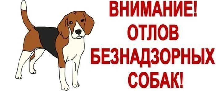 🐶 Внимание, жители! 🐶

Сообщаем, что во вторник, 30 июня, будет проводиться отлов безнадзорных соб