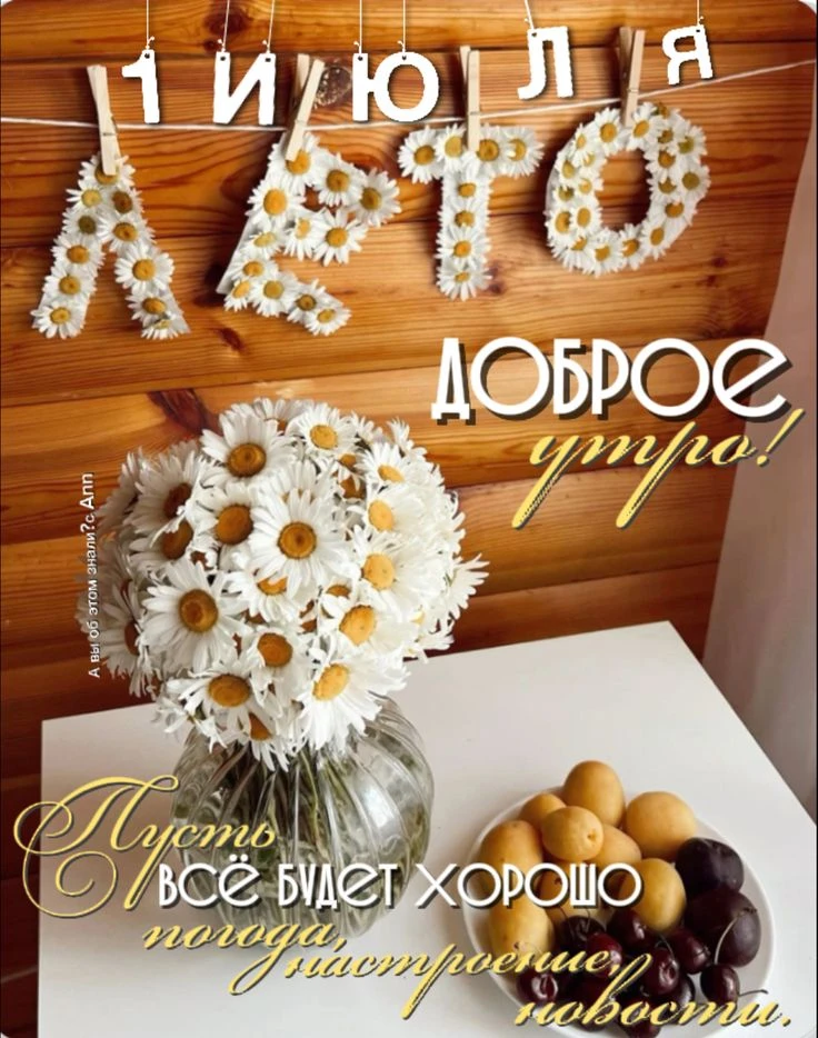 За окном июль. Прекрасно!