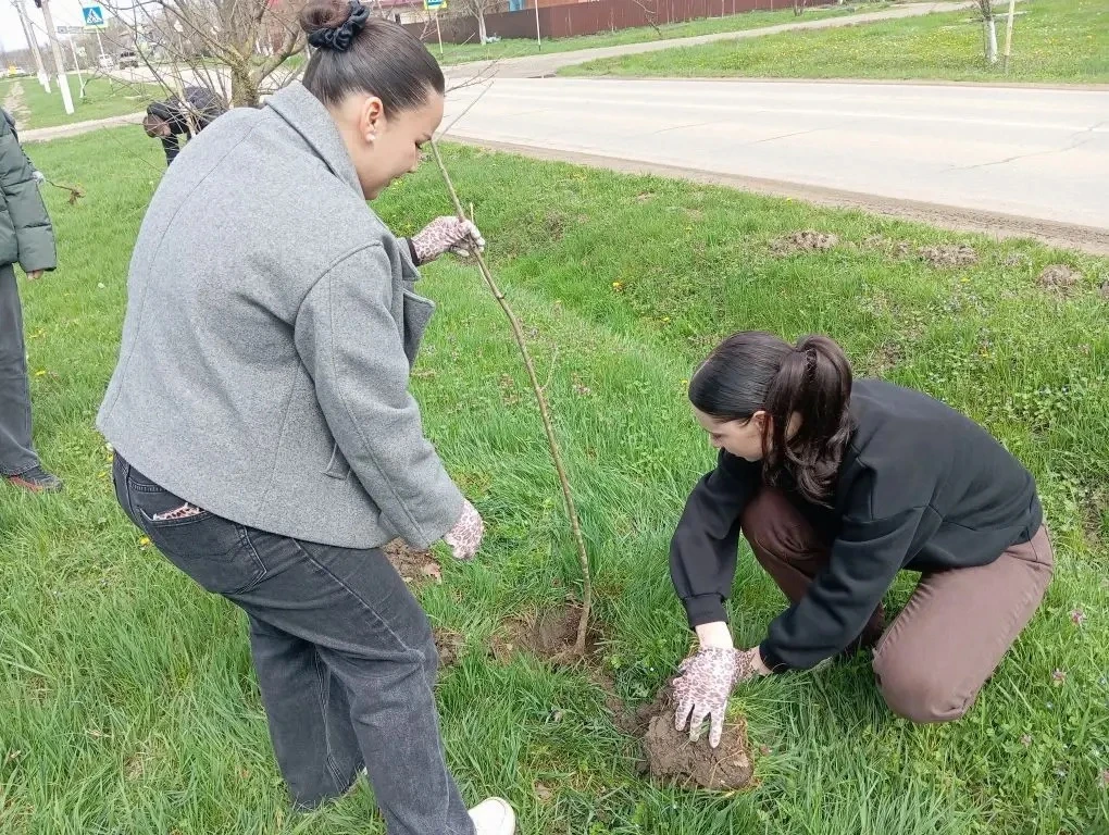 🌱 Посади дерево сегодня – наслаждайся чистым воздухом завтра! Организация экологических акций и обще