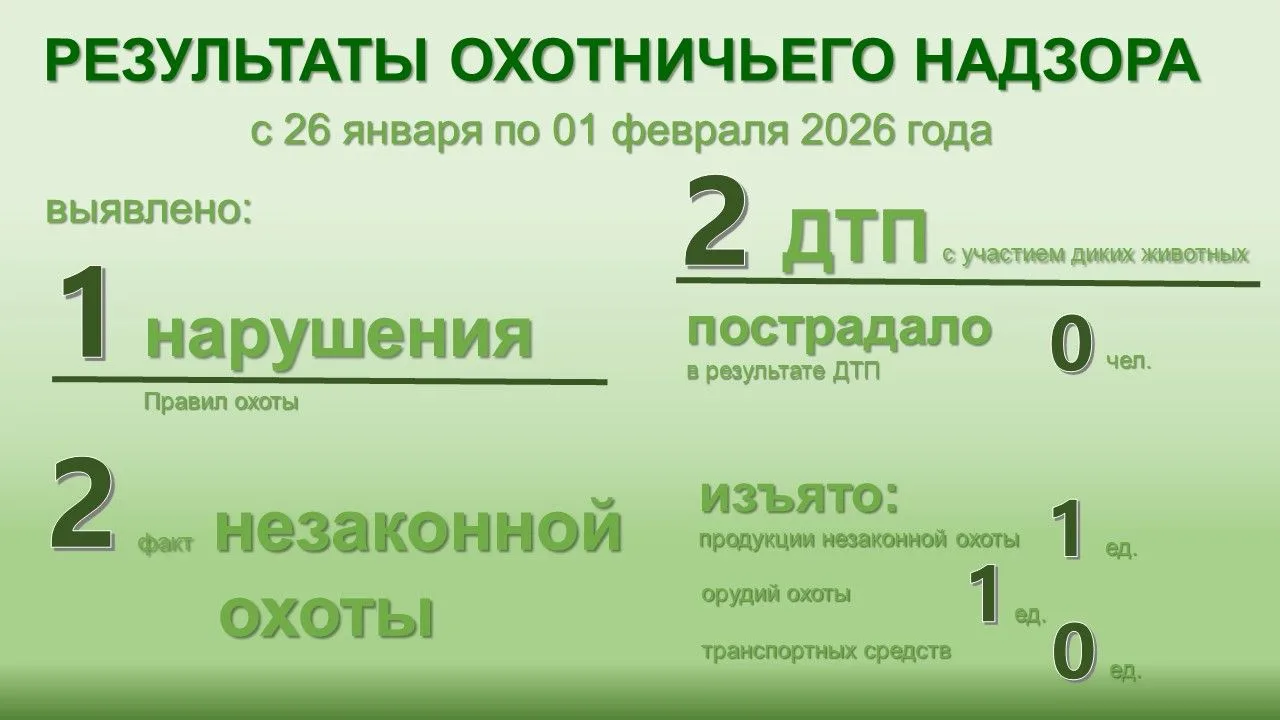 Итоги недели охотничьего надзора: работа на результат