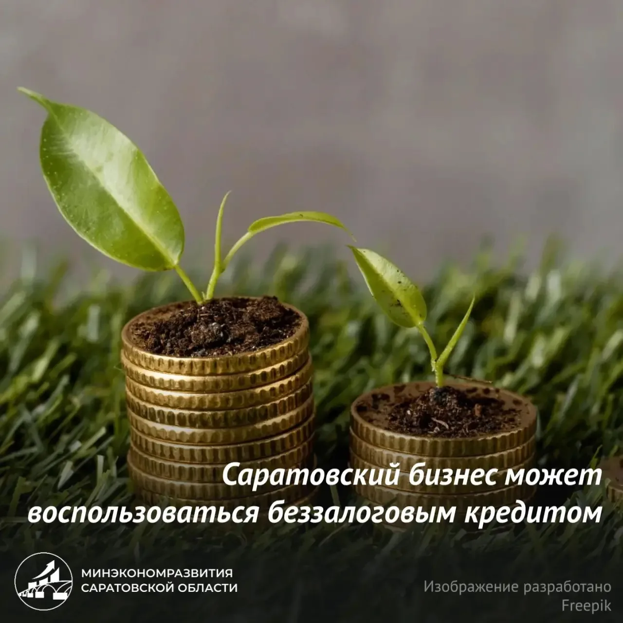 Саратовский бизнес может воспользоваться беззалоговым кредитом от Гарантийного фонда