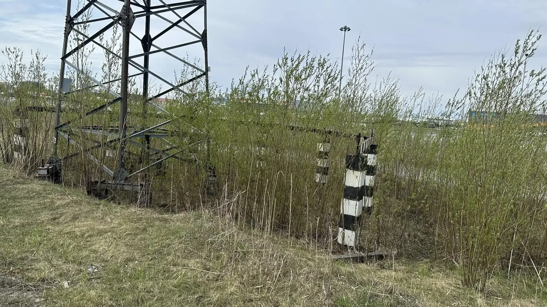 💪Коллектив МФЦ Югры принял участие в дне санитарной очистки территории города Ханты-Мансийска  В дне