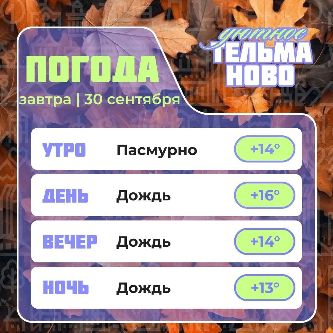 Ваш гид по погоде на завтра🌡