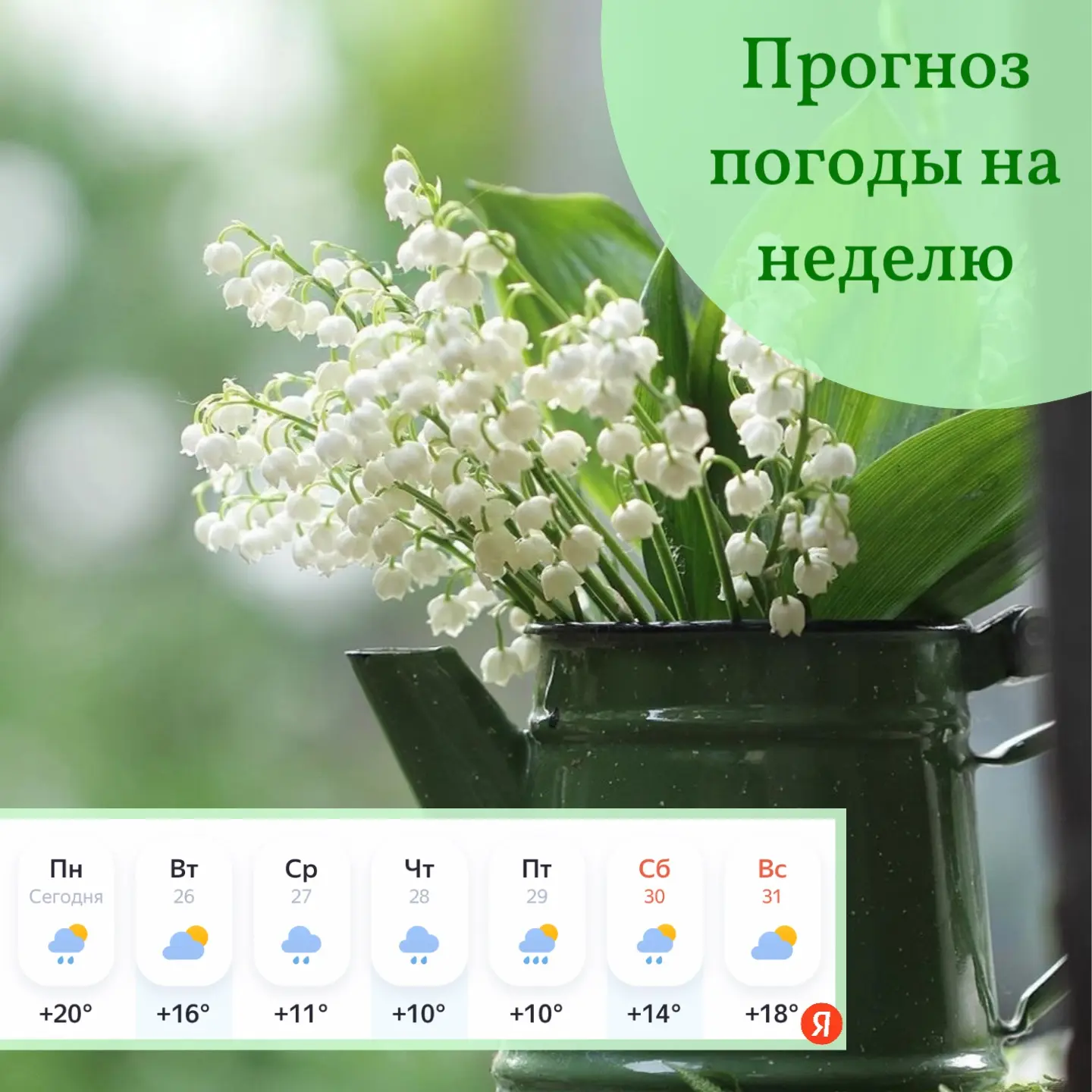 🌤️Доброе утро, друзья!