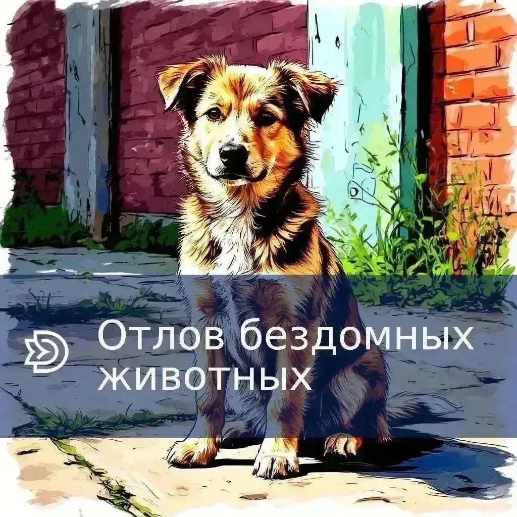 🐾 Отлов бездомных животных

В Динском районе будет организован отлов бездомных собак.

⚪️ 15 июня 2