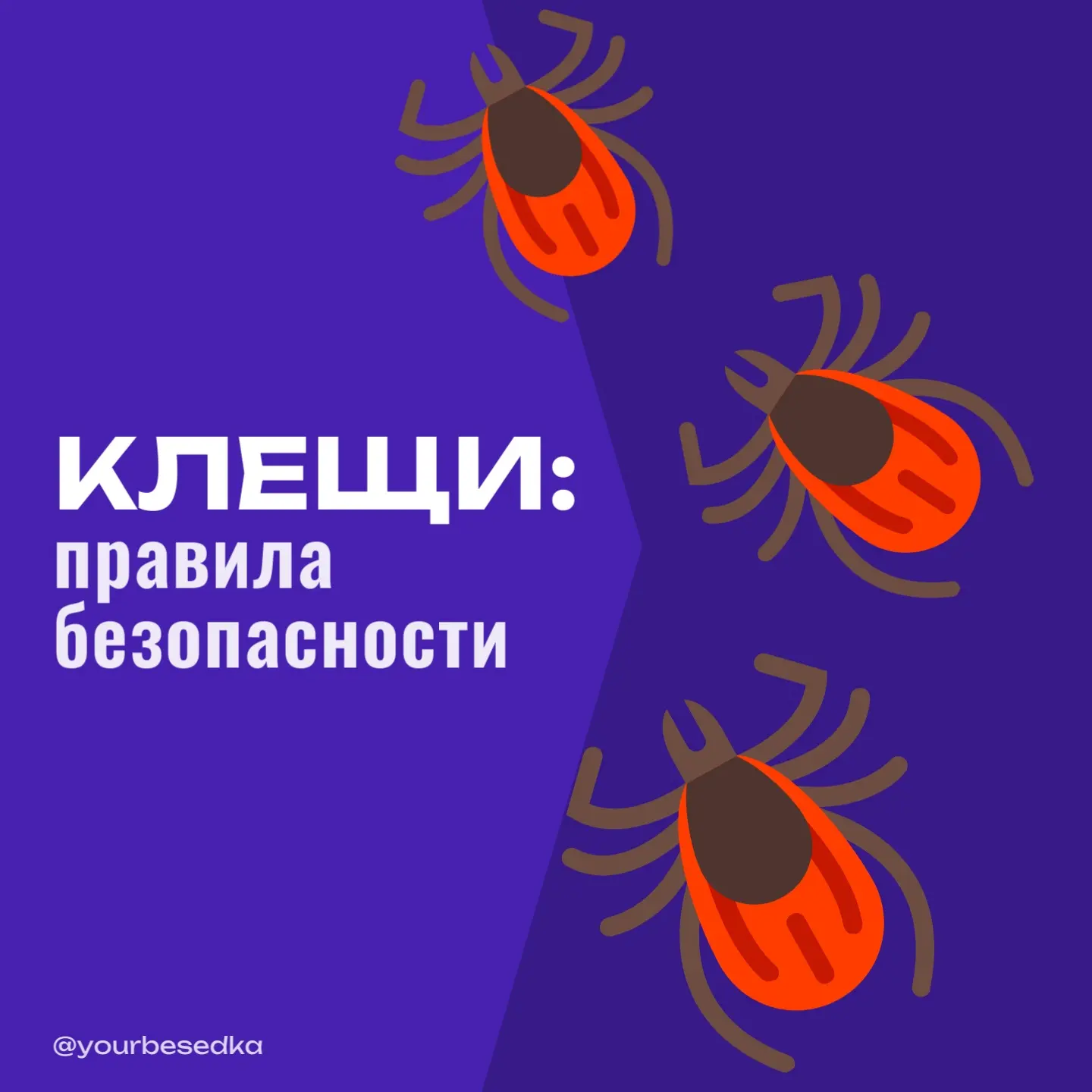 Клещи: правила безопасности ⚠️