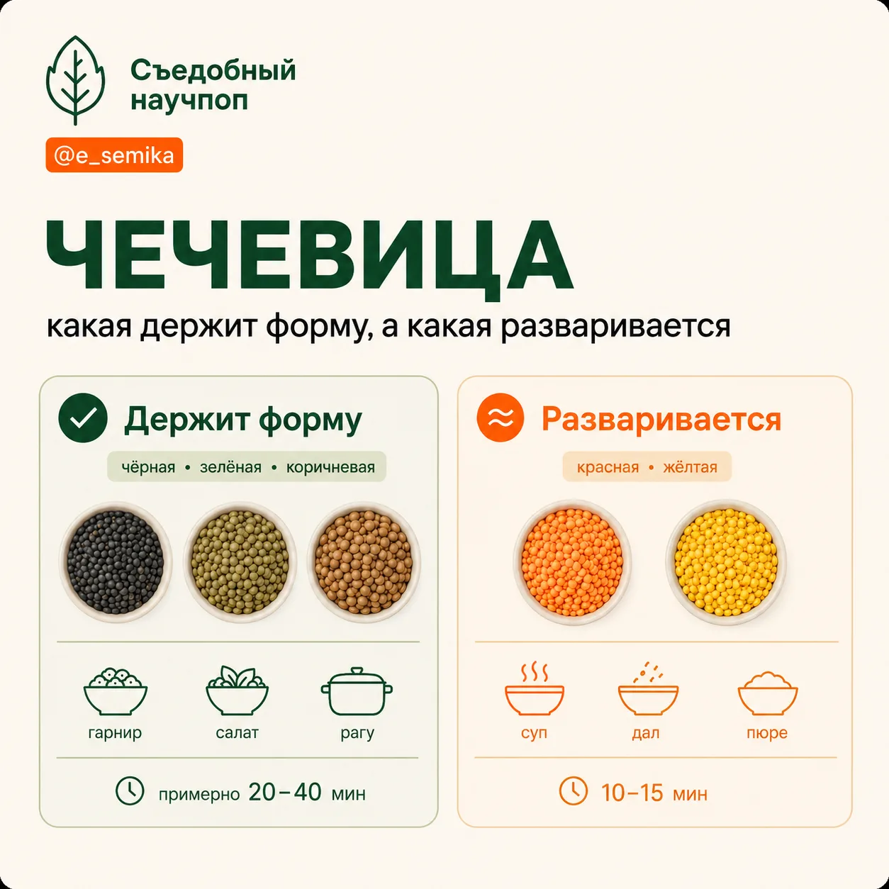 Чечевица: почему одна держит форму, а другая превращается в пюре

Раз уж заговорили про чечевицу, то