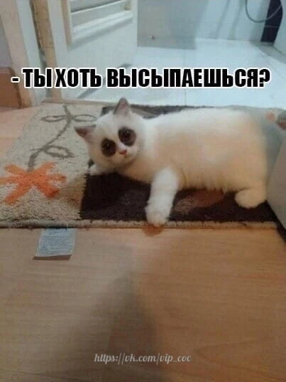 Понедельник, Вторник, Среду, Четверг, Пятницу ☺️
