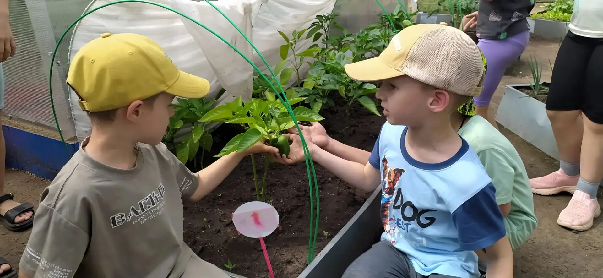 👧🧒Маленькие исследователи вернулись из небольшого отпуска на свой любимый огород!
Первым делом реб