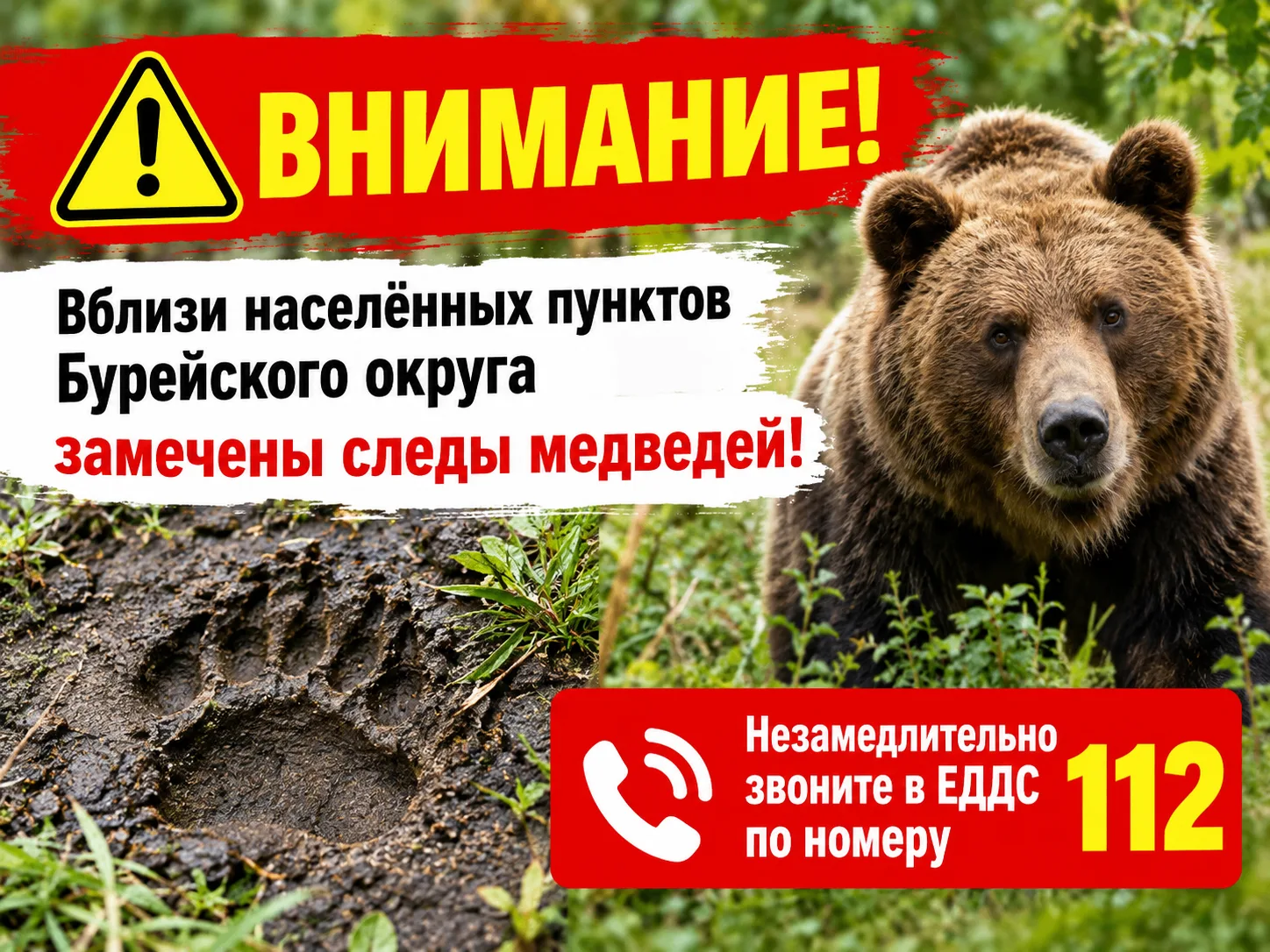 Внимание! Вблизи населённых пунктов Бурейского округа замечены следы медведей.