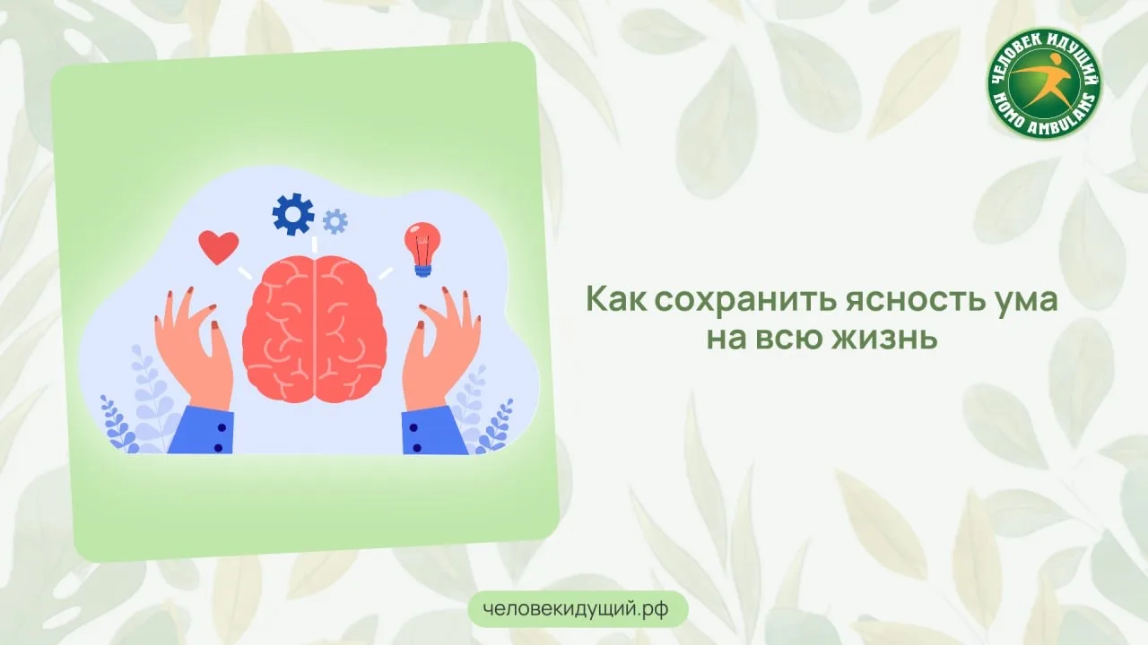 В новом крупном научном обзоре, обобщены факторы, влияющие на работу мозга на протяжени...