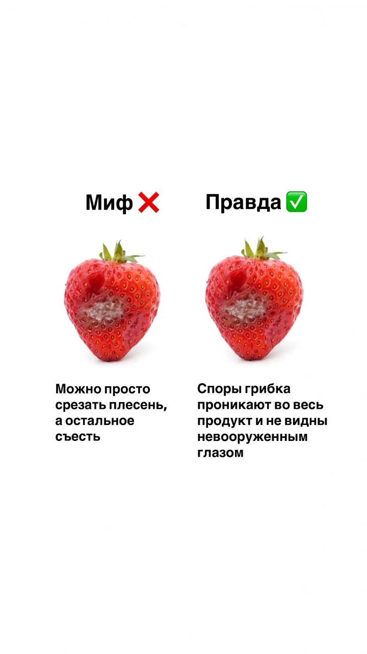 5 МИФОВ О ПРОДУКТАХ ПИТАНИЯ