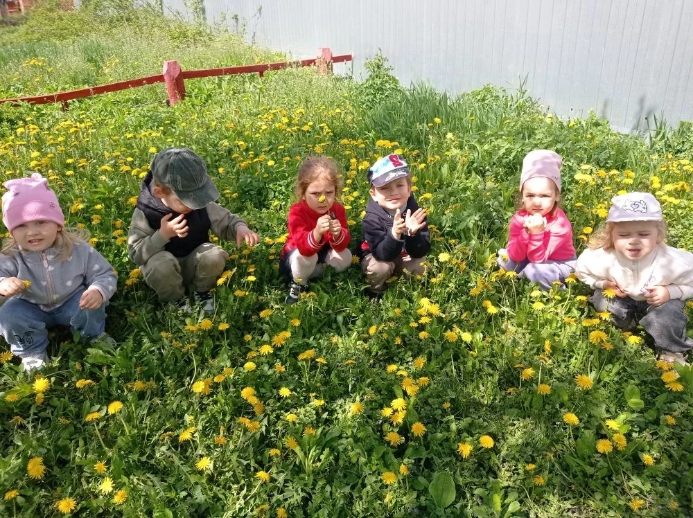 «Жёлтый солнечный привет»: Как мы отметили День одуванчика ☀️