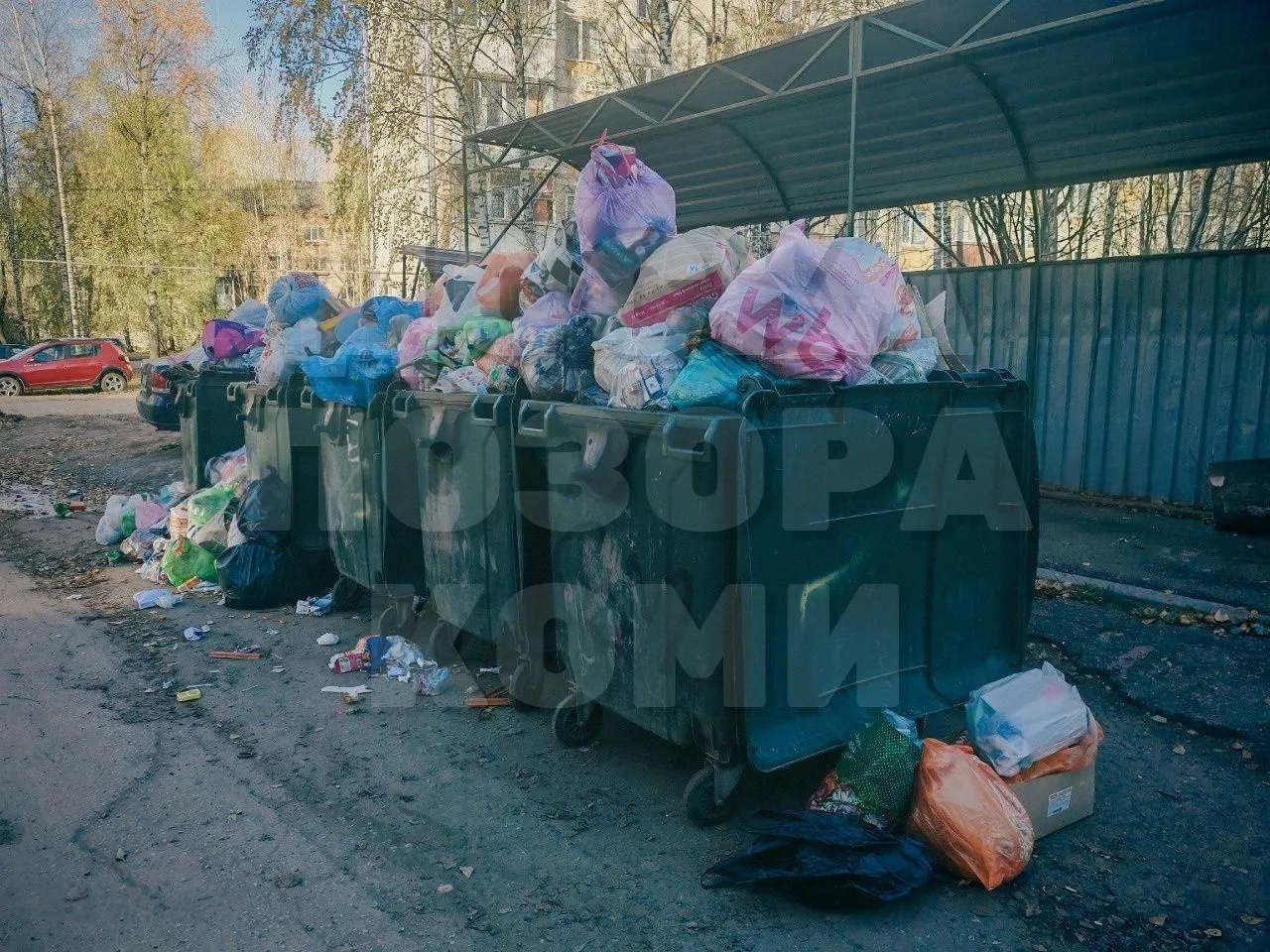 Каждый месяц мы платим около 800 рублей за вывоз мусора. Наш адрес: Сыктывкар. Октябрьс...