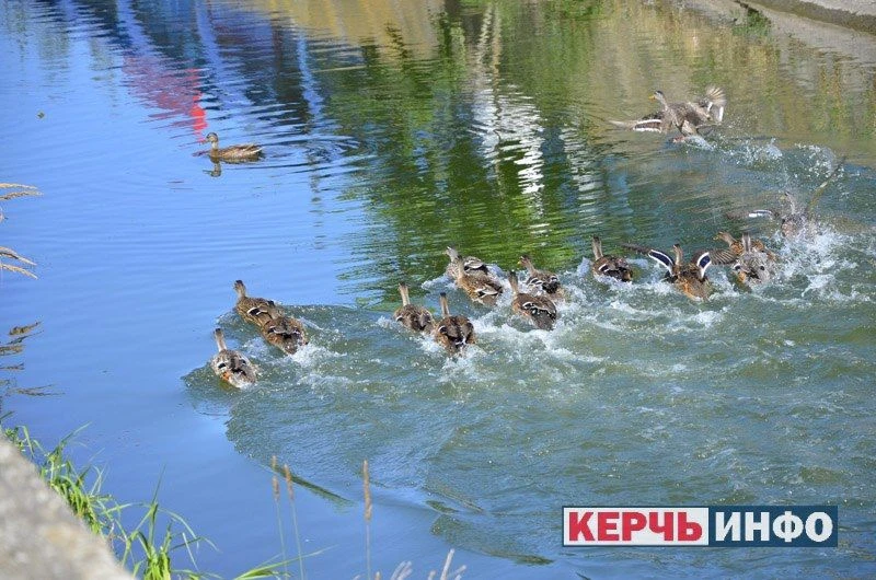 Обливание холодной водой дарит хорошее настроение, причём всё равно кого ты обливаешь.

☀️Доброе утр