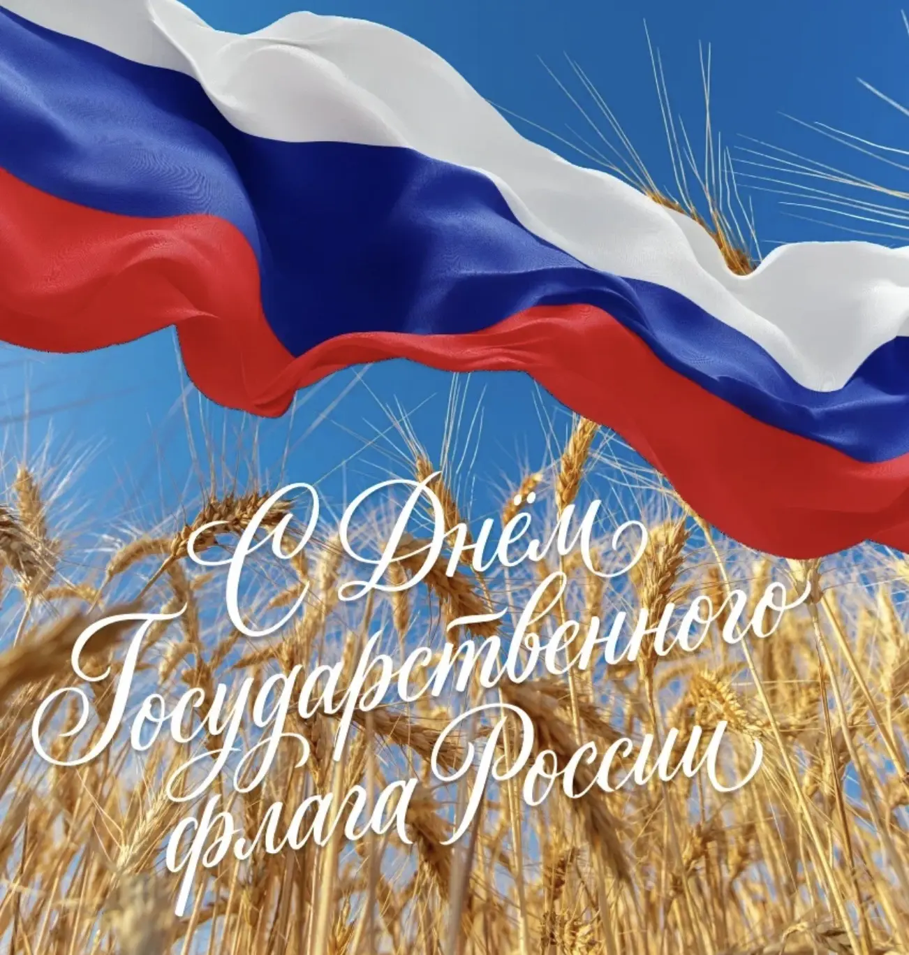 С Днём Государственного флага Российской Федерации!