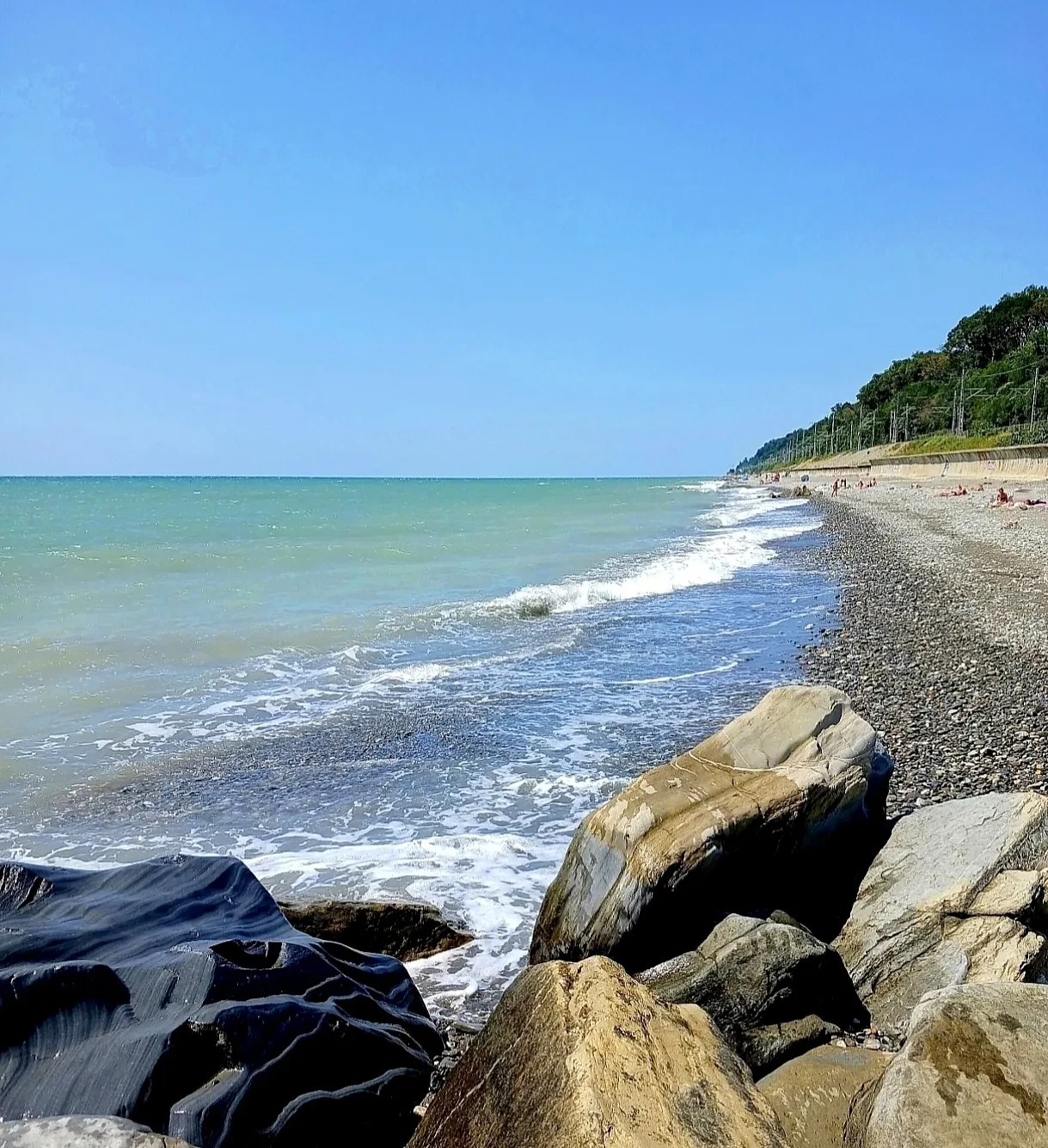 📍 Регион: 🌴 Сочи