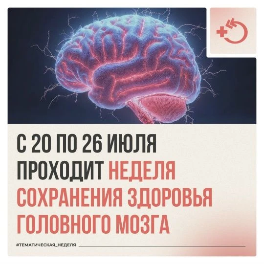 Головной мозг работает непрерывно — даже во сне он координирует дыхание, сердцебиение, движение и мы