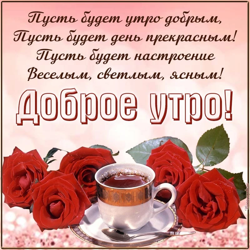 Список качественных каналов в МАХ | Подпишись!❤️