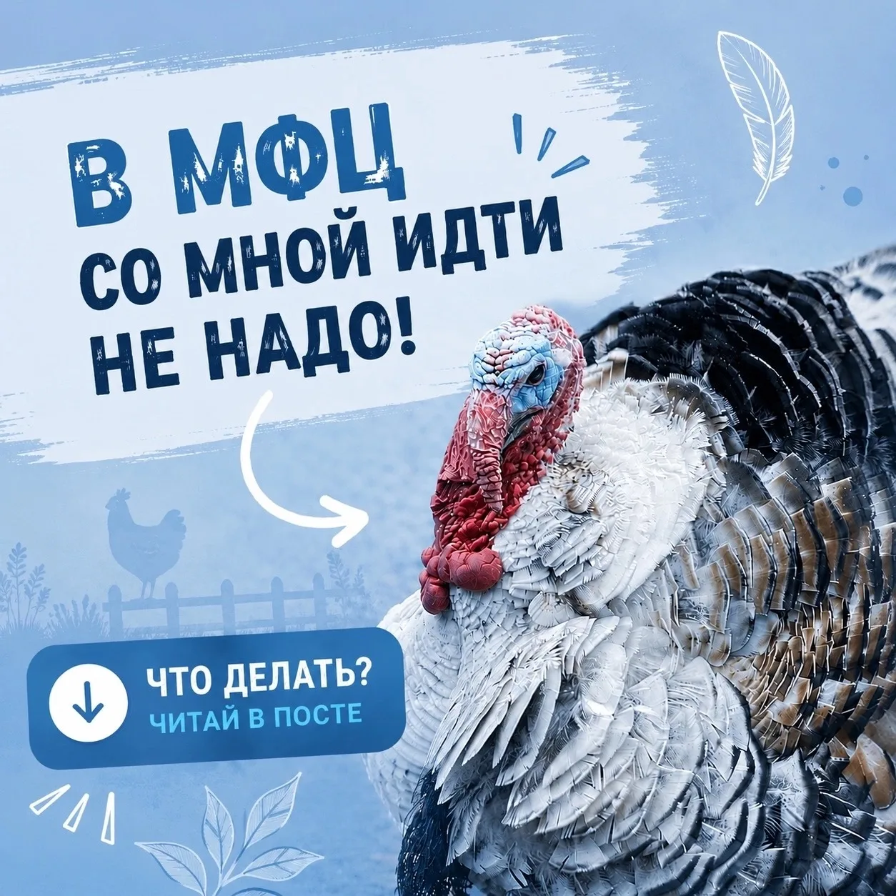 🐔 С 1 сентября 2026 года владельцы личных подсобных хозяйств, которые держат более 10 ...