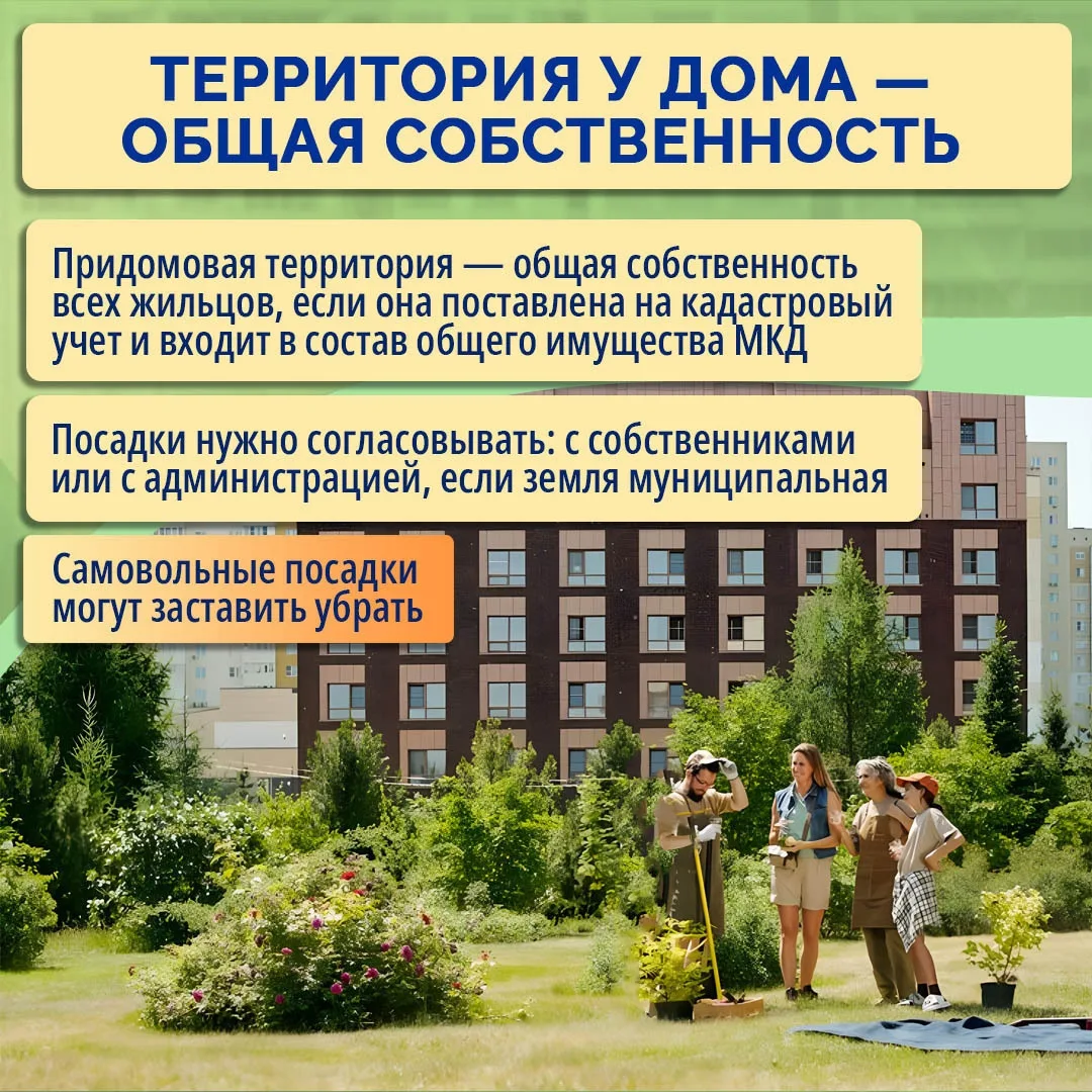 Хотите озеленить двор, но не знаете, с чего начать? 🌳🌳🌳
