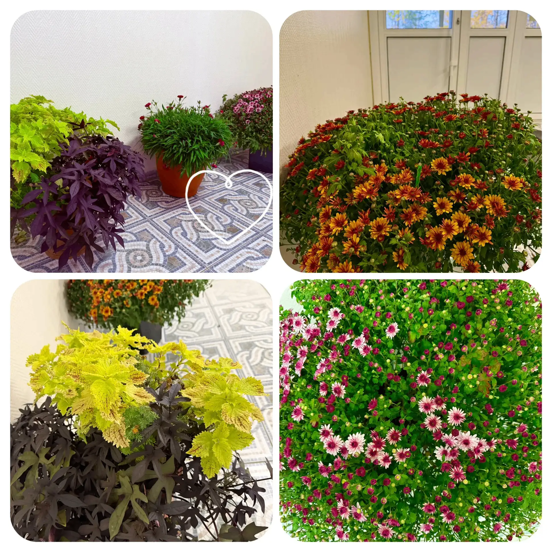 💐 С Днём учителя, дорогие педагоги! 💐В этот день мы от всей души поздравляем всех, кт...