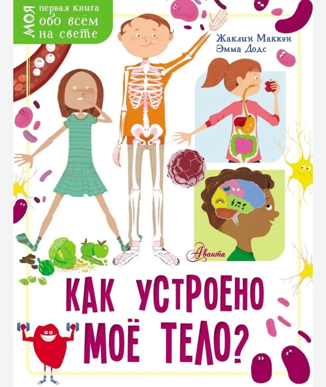 📚 Как устроено моё тело?
