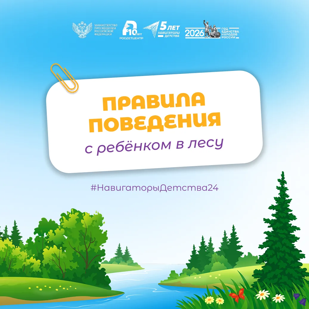 🌳Собираетесь в лес за грибами и ягодами с детьми? Помните об этих правилах безопасности!

Лето в са