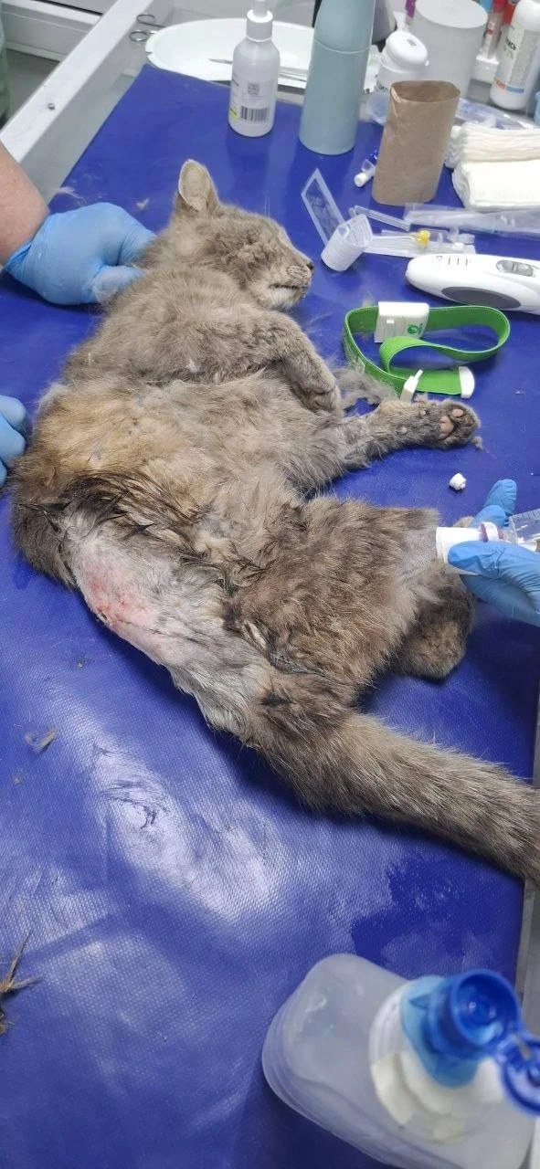 Спасибо большое всем за вашу помощь ❤️🙏
Вы самые лучшие
