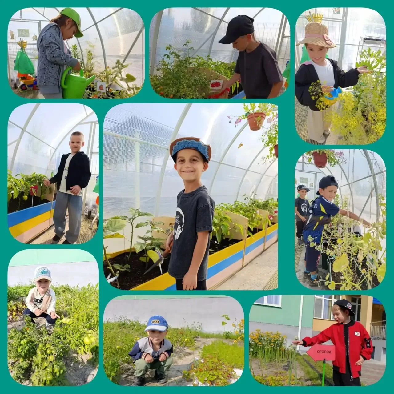 Откуда берутся овощи🥒🍅🥕🍆 на нашем столе — из магазина или... из-под ладошек👐 детей?