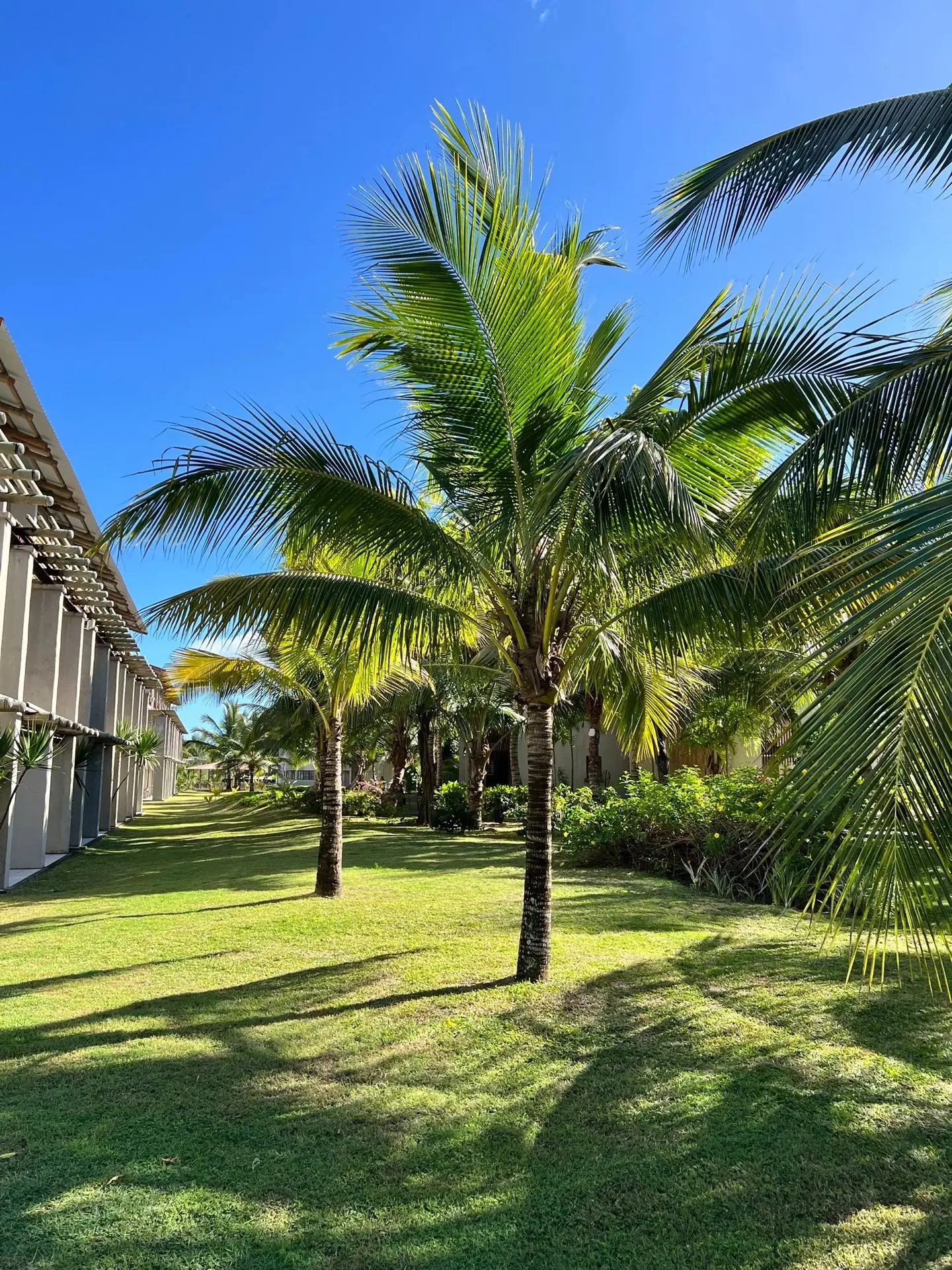 🌍 МАВРИКИЙ

🩵Crystals Beach Resort Belle Mare By Raddison 4* 
✈️ 30 сентября, 9 ночей в отеле
🥘 З