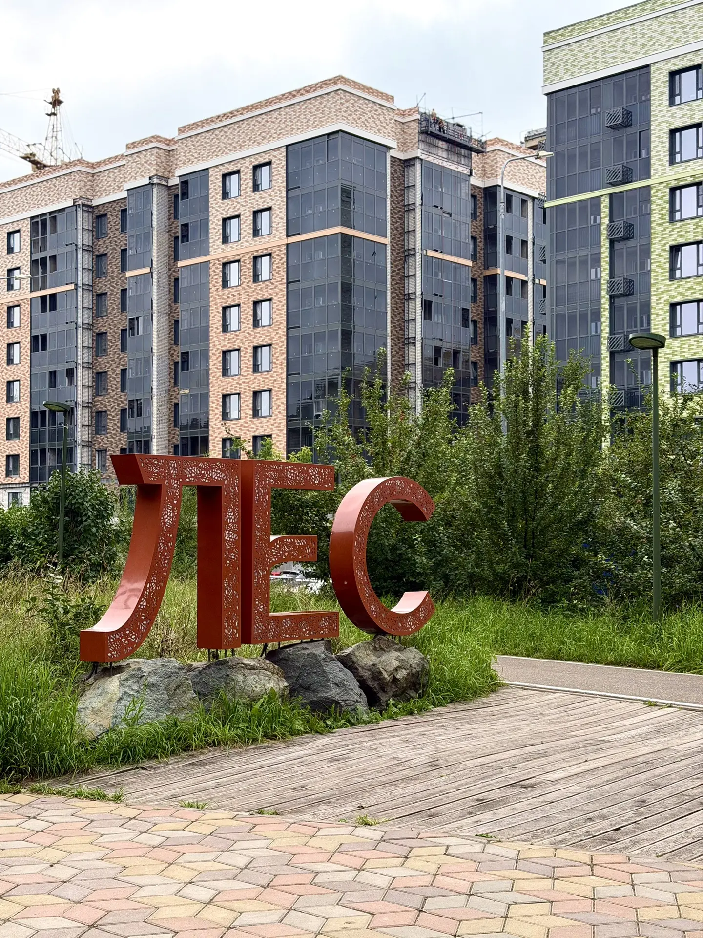Горкинско-Ометьевский лес 🌳