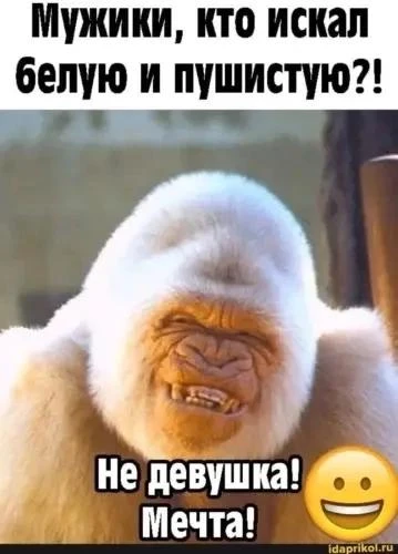 Подпишись 👉️ ВРЕДИНКА