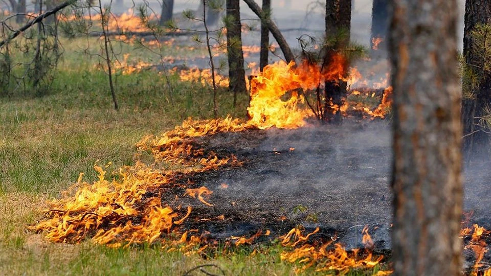 В двух населённых пунктах Камчатского края повысились классы пожарной опасности

22 июня в селе Пущи