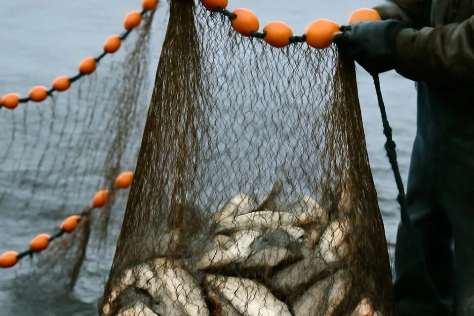 🎣 В Якутии введут запрет на рыбалку с 15 мая   В Якутии стартует сезон нереста рыбы, поэтому для люб
