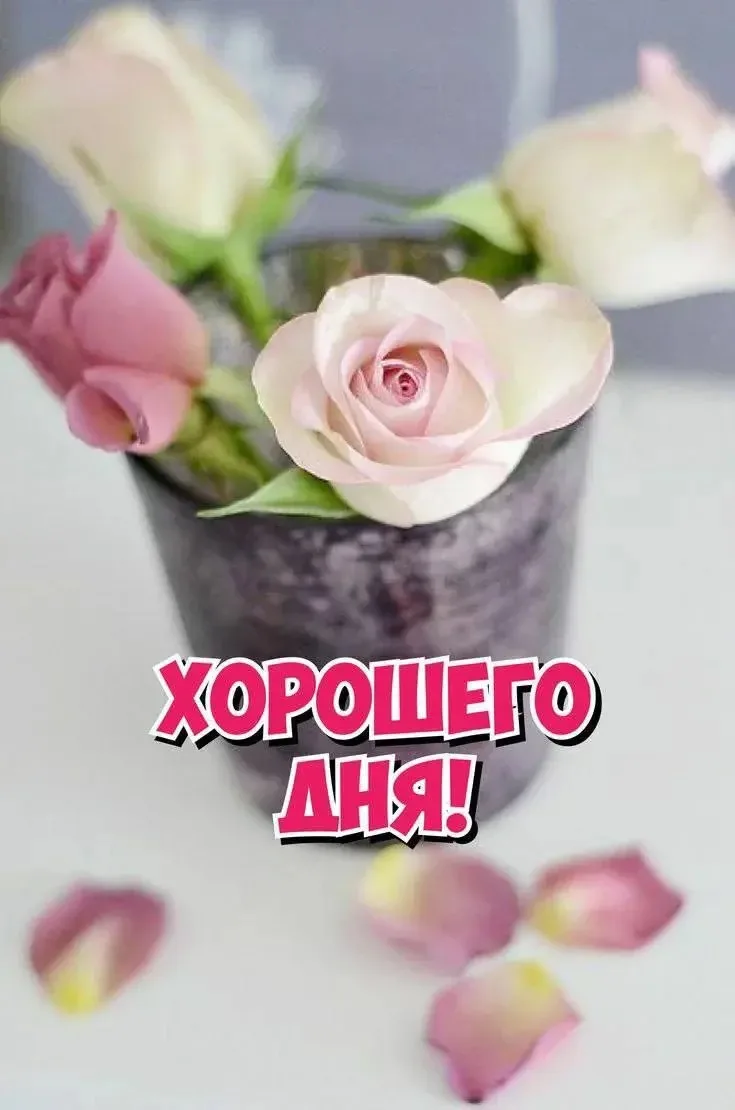 💖 В нашем канале найдется открытка для всех ! Листайте ленту