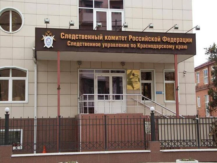 В Новокубанске следователь СКР провела урок безопасности для школьников