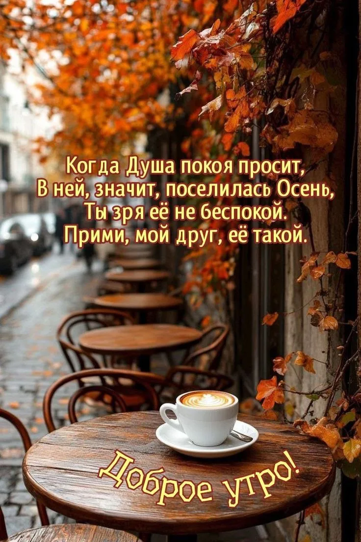 Подписывайся на нас!